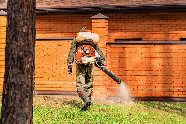 Trusted Cockroach Control service in Norton Center, MA - Nex Pest Control